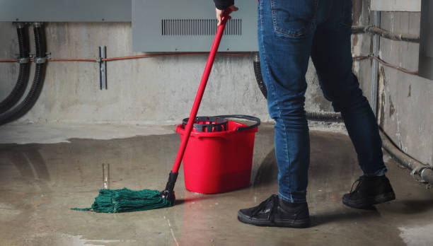 Best Carpet water damage restoration  in Arnaudville, LA
