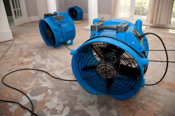 Best Professional water damage repair  in Arnaudville, LA