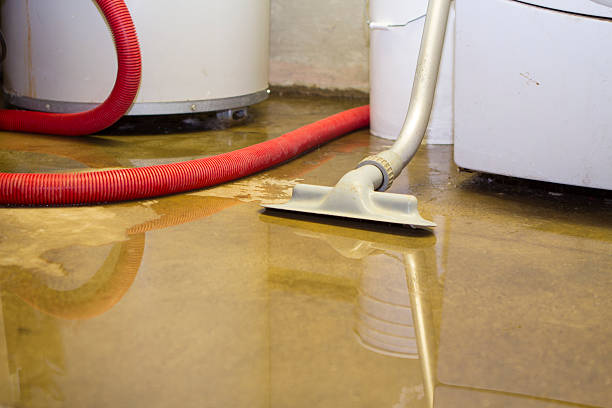 Best Ceiling water damage repair  in Arnaudville, LA
