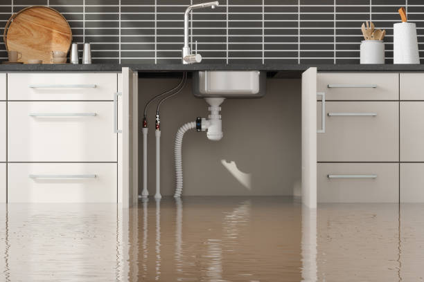 Best Water damage restoration near me  in Arnaudville, LA